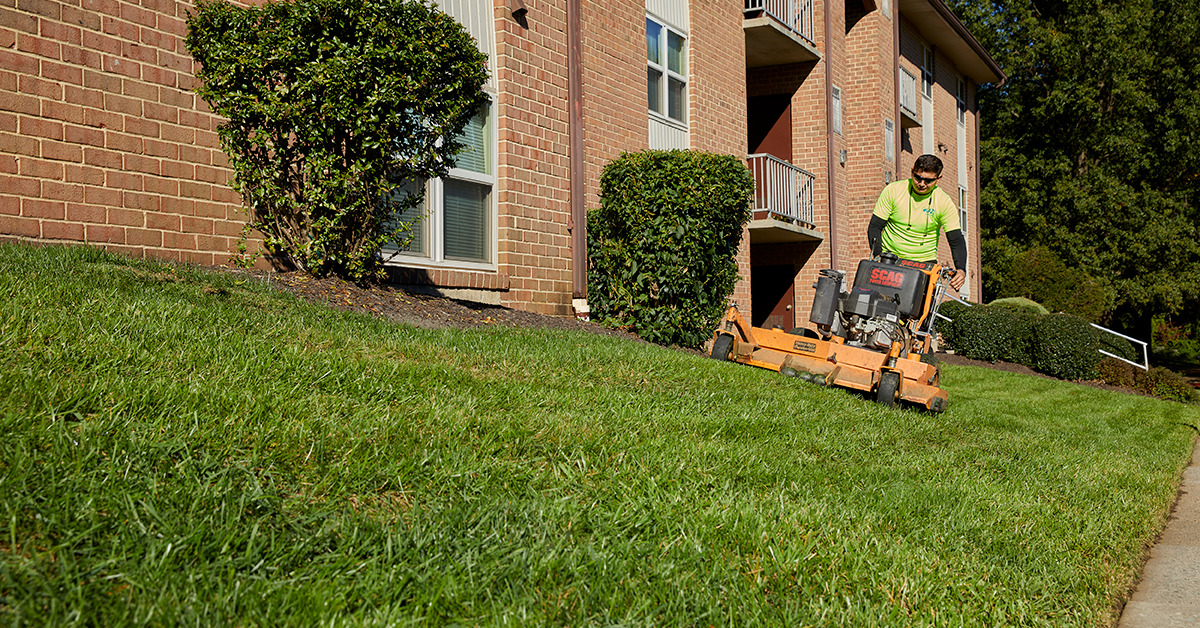 lawn