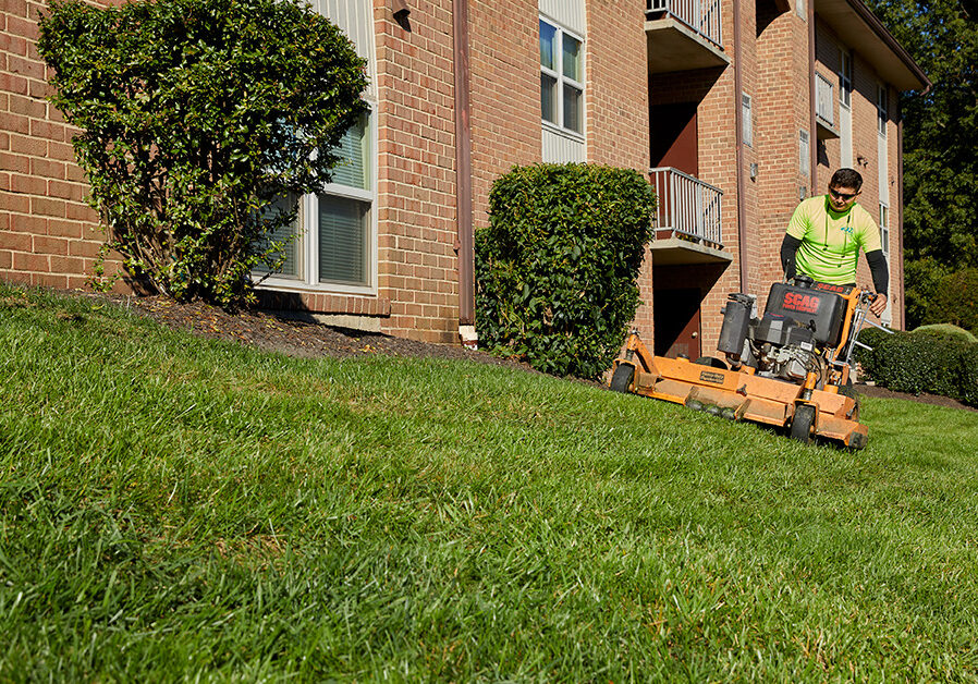 lawn
