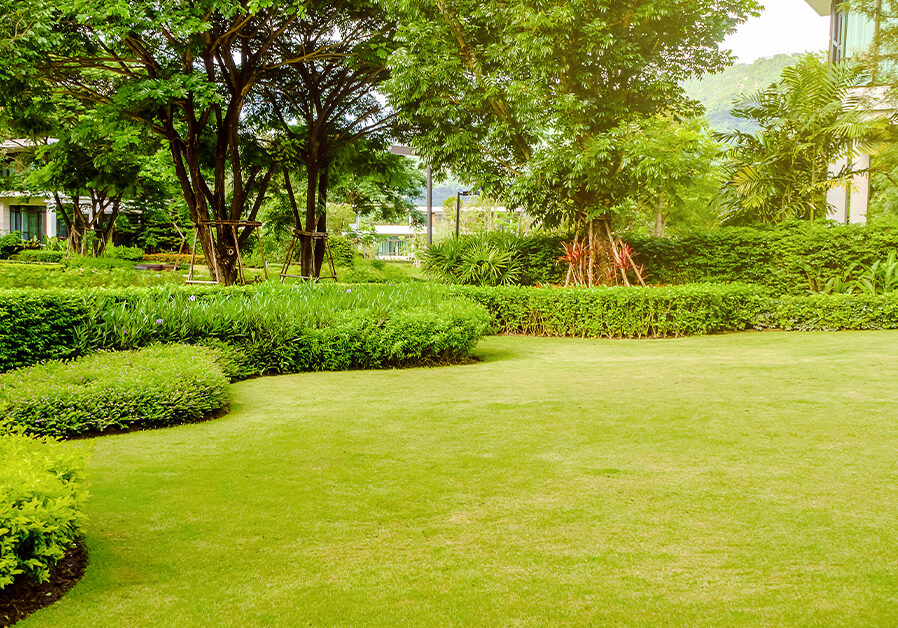 ll-blog